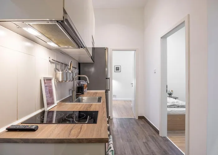 Grand With 5bedrm 2bathroom Apartament Budapesta